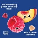 wellyeah-magnesium-citrate-gummies-for-k-4.jpg