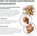 primal-harvest-stress-relief-supplement--6.jpg