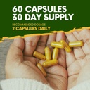 organic-giloy-guduchi-powder-herbal-caps-5.jpg