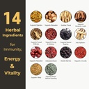 geumheuk-korean-black-ginseng-extract-ev-5.jpg