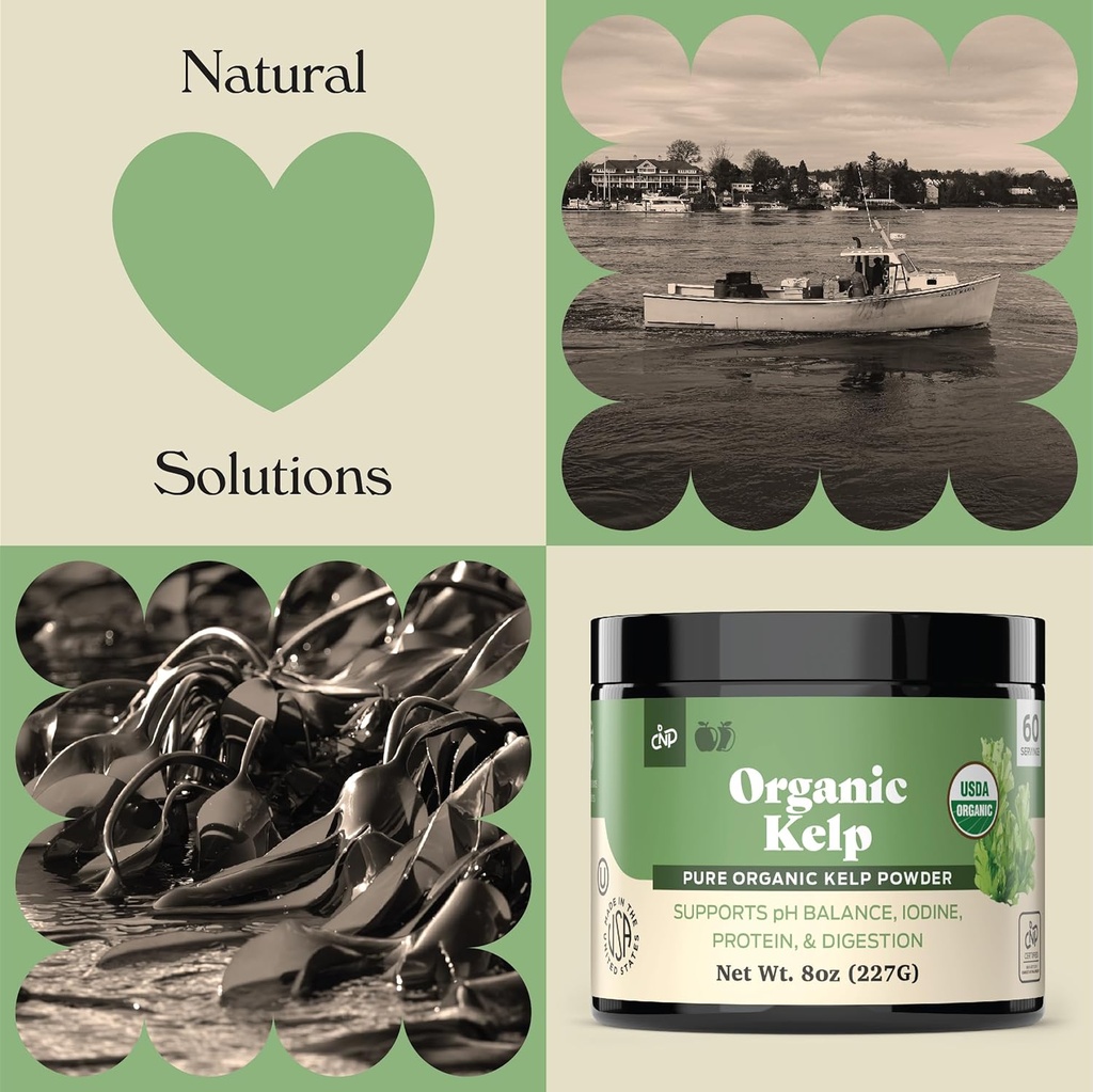 organic-kelp-powder-supplement---bulk-ra-4.jpg