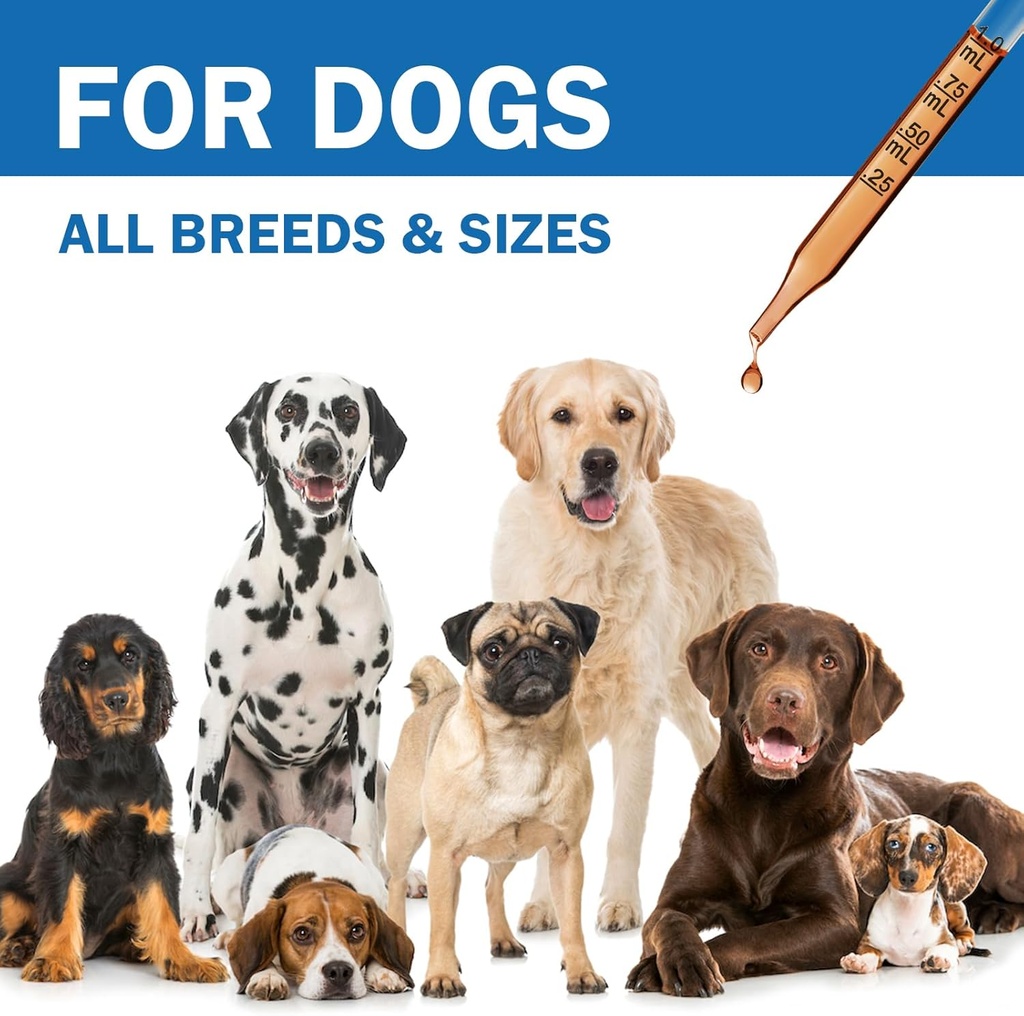 cough-treatment-for-dogs---relives-sore--5.jpg