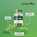 internal-deodorant-supplement-natural-ch-2.jpg