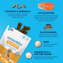 vetnique-labs-seniorbliss-all-in-one-mul-6.jpg