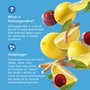 go-organic-stress-relief-ashwagandha-sup-4.jpg