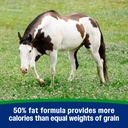 farnam-weight-builder-support-supplement-5.jpg