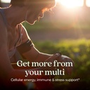 new-chapter-one-daily-multivitamin-for-i-2.jpg