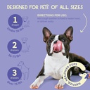 dog-coughing-remedy---kennel-cough---dog-6.jpg