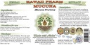 mucuna-alcohol-free-liquid-extract-organ-2.jpg
