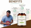 arogyavardhini-vati-tablets---natural-de-4.jpg
