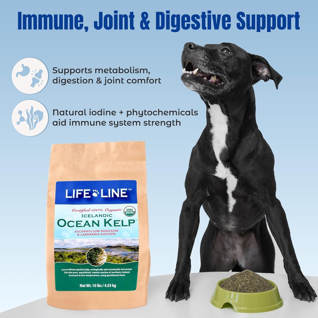 life-line-organic-ocean-canister-kelp-fo-4.jpg