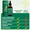 mullein-leaf-extract-for-lungs-mullein-d-4.jpg