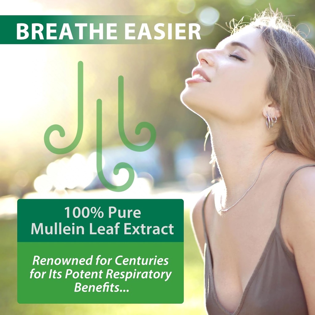 mullein-leaf-extract-mullein-leaf-extrac-4.jpg