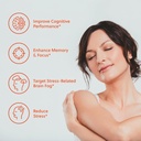 brain-boost-brain---reduce-stress-relate-2.jpg