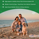 vitamatic-cranberry-for-dogs-120-chewabl-6.jpg