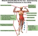 krampade-whey-protein-electrolytes-powde-3.jpg