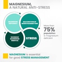 synergia-calm-box---magnesium-and-vitami-5.jpg