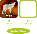 hebayy-36-pair-animal-matching-game-flas-2.jpg