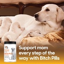 bitch-pills-powder-form---prenatal-vitam-3.jpg