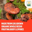 freshcap-adaptogen-bundle-reishi-capsule-4.jpg