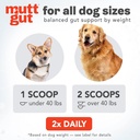 all-natural-3-in-1-dog-probiotic-prebiot-5.jpg