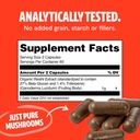 freshcap-mushrooms-wellness-duo-reishi-1-4.jpg