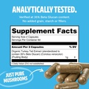 freshcap-mushrooms-wellness-duo-reishi-1-5.jpg