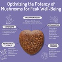 anp-enhance-your-dogs-health-with-mushro-3.jpg