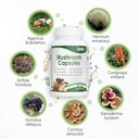 salate-lions-mane-supplement-organic-mus-5.jpg
