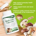 salate-lions-mane-supplement-organic-mus-6.jpg