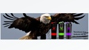 bird-i-gym-protein-shaker-3-in-1-500ml16-4.jpg