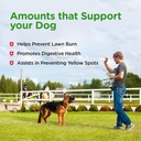 nutri-vet-grass-guard-chewables-lawn-bur-5.jpg