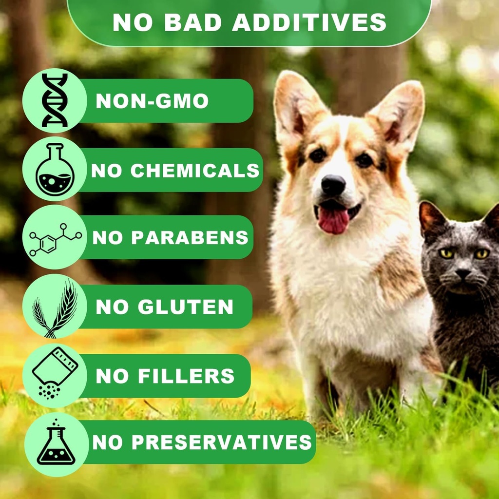 cats-dogs-liquid-urinary-tract-infection-2.jpg