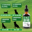 cats-dogs-liquid-urinary-tract-infection-6.jpg