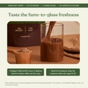 cosmix-no-nonsense-plant-protein-organic-3.jpg