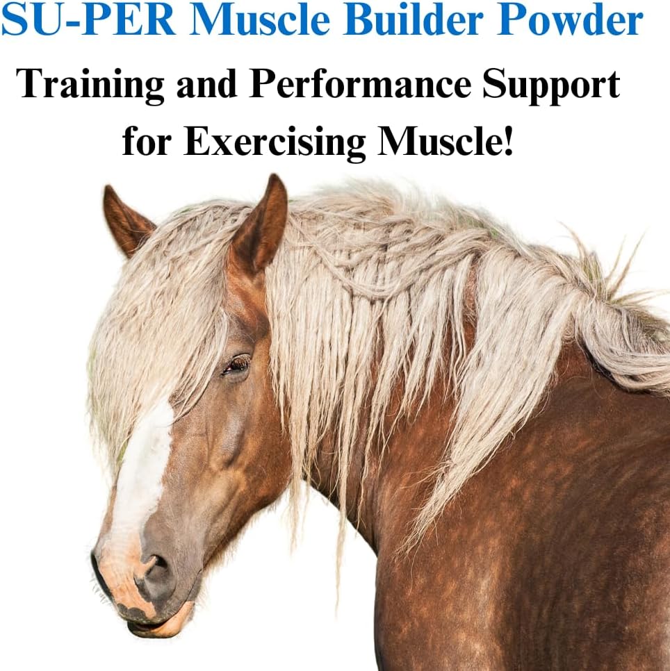 su-per-muscle-builder-horse-supplement---3.jpg