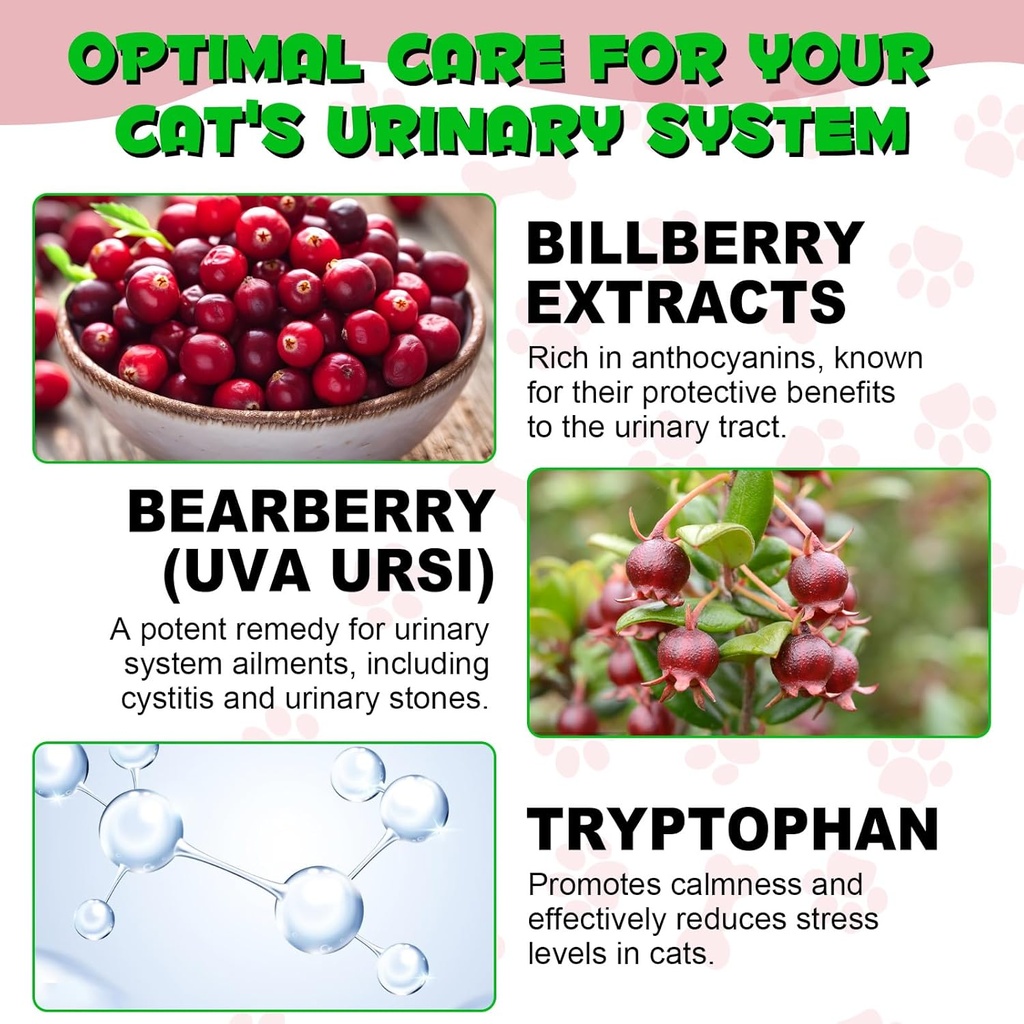 urinary-tract-for-cats-natural-cat-urina-3.jpg