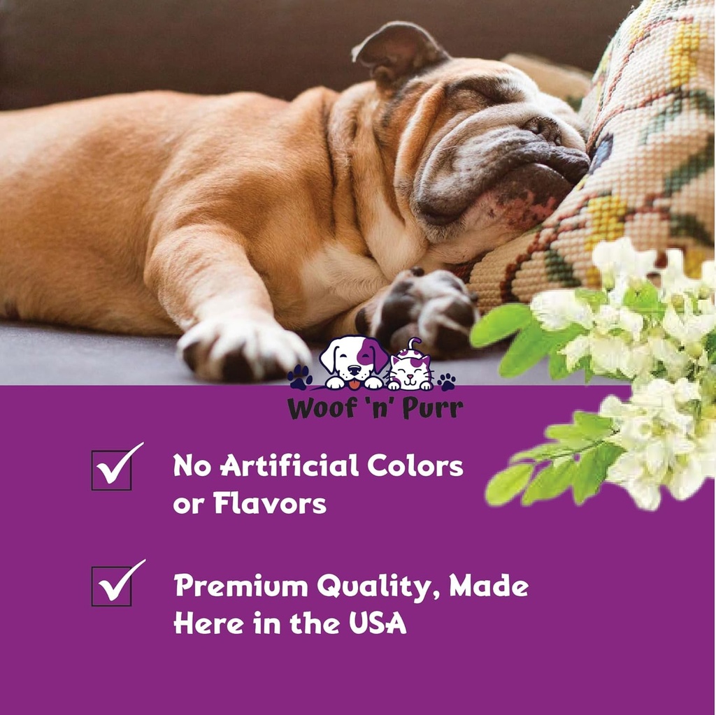 dog-melatonin---melatonin-for-dogs---dog-4.jpg