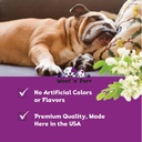 dog-melatonin---melatonin-for-dogs---dog-4.jpg