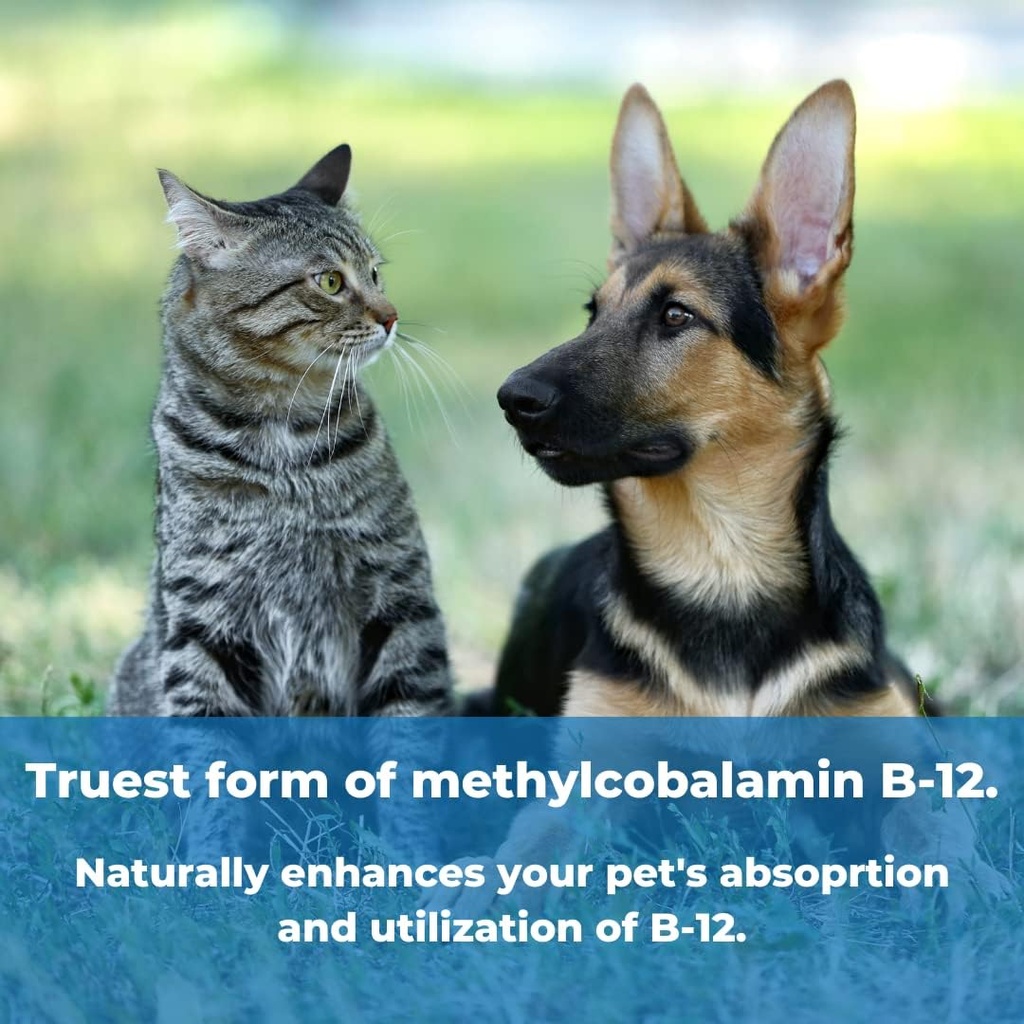wonder-laboratories-pet-factor-b-12-vita-2.jpg