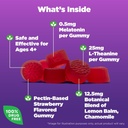 natrol-kids-sleep-calm-melatonin-and-l-t-2.jpg