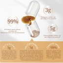 cheezhenghimalaya-reishi-mushroom-organi-3.jpg