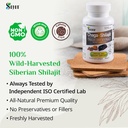 sayan-siberian-chaga-mushroom-extract-wi-2.jpg