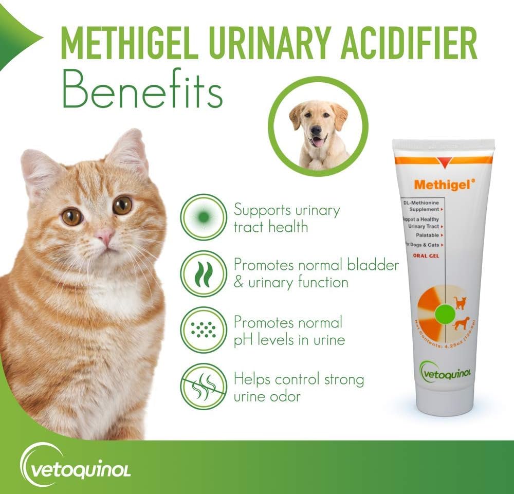 vetoquinol-methigel-urinary-acidifier-to-2.jpg