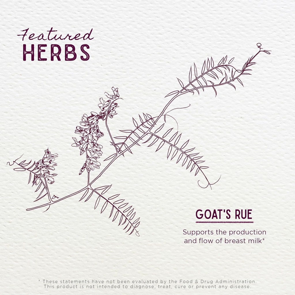 wishgarden-herbs-goats-rue-lactation-sup-4.jpg