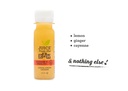 8-day-boosting-plan-by-juice-from-the-ra-5.jpg