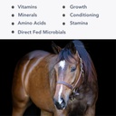 mega-cell-25lb-balanced-vitamin-mineral--3.jpg