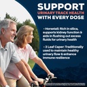 ayush-herbs-rentone---kidney-support-sup-5.jpg