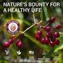 sarsaparilla-liquid-extract-smilax-offic-5.jpg