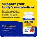 enzymedica-berberine-800mg-120-count-3.jpg